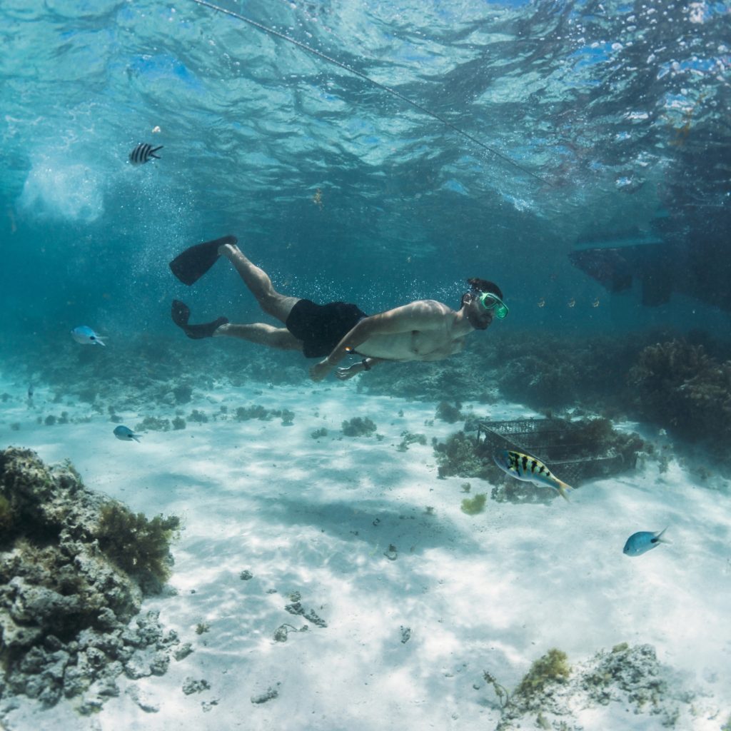 Snorkeling in Mauritius – Explore Blue Bay Marine Park