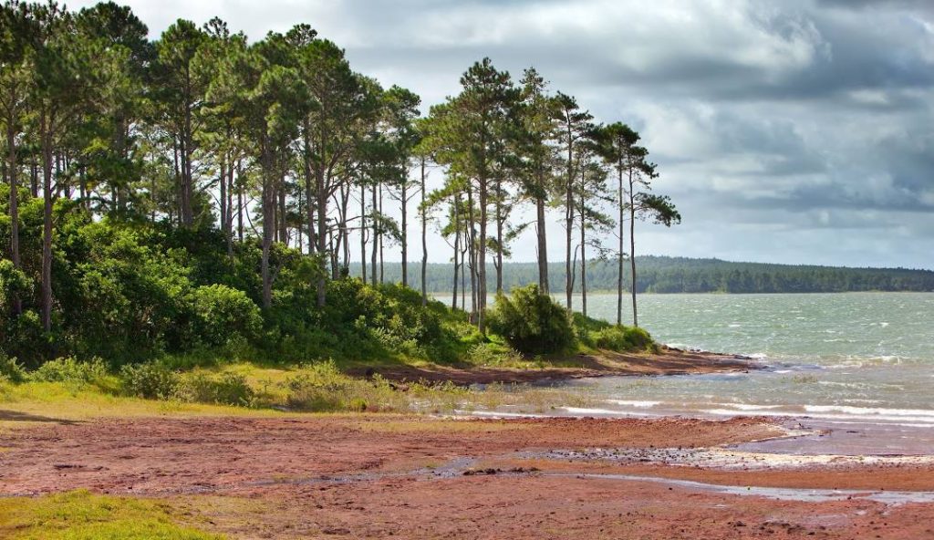 Mare Aux Vacoas South Tour