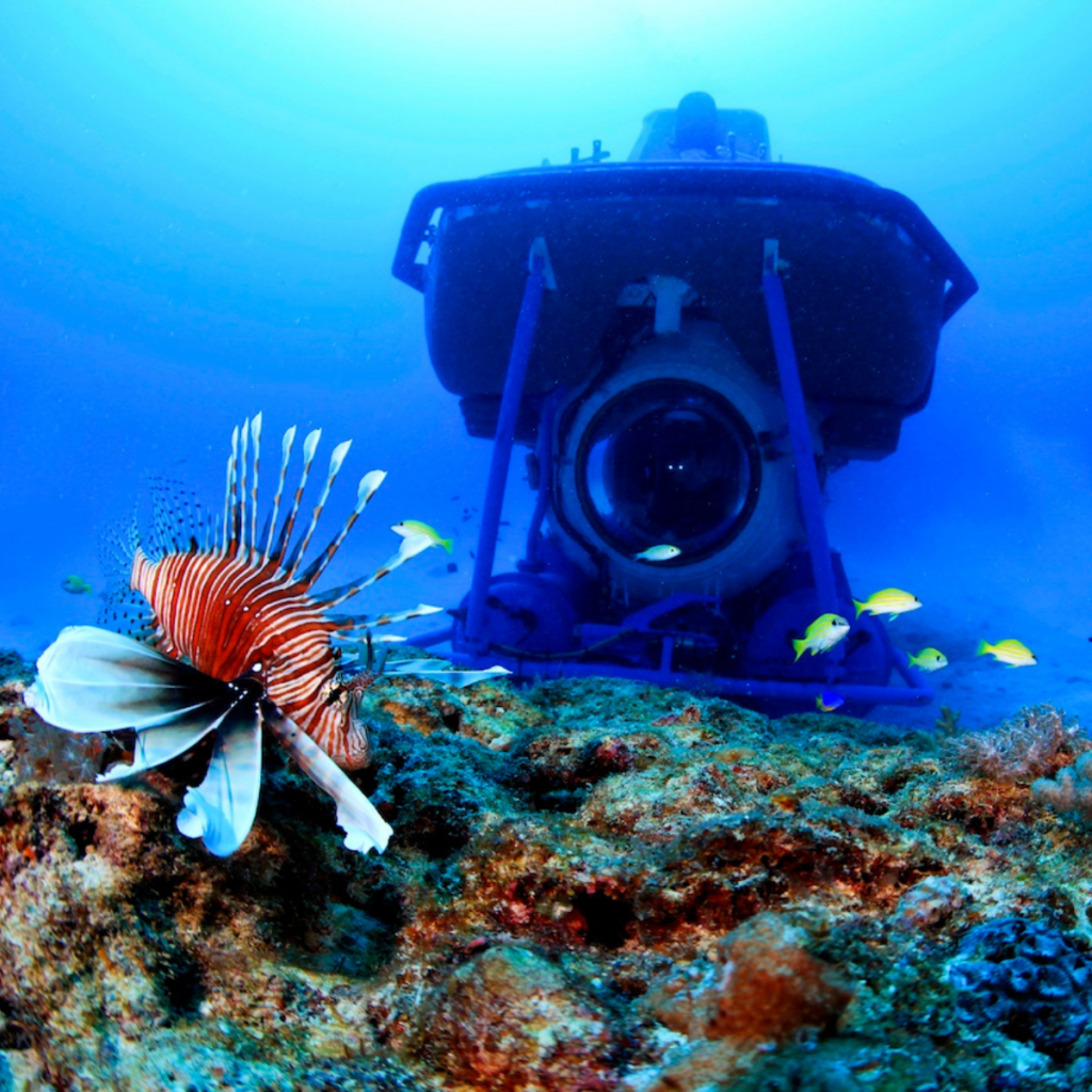 Blue Submarine Ride in Mauritius – Underwater Discovery