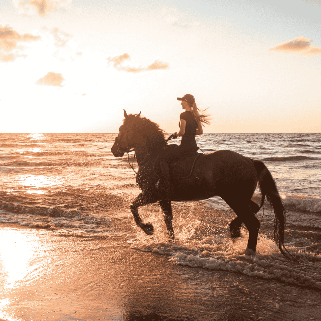 Horse Riding Tours in Mauritius – Beach, Mountain, Sunset & Swimming with Horses